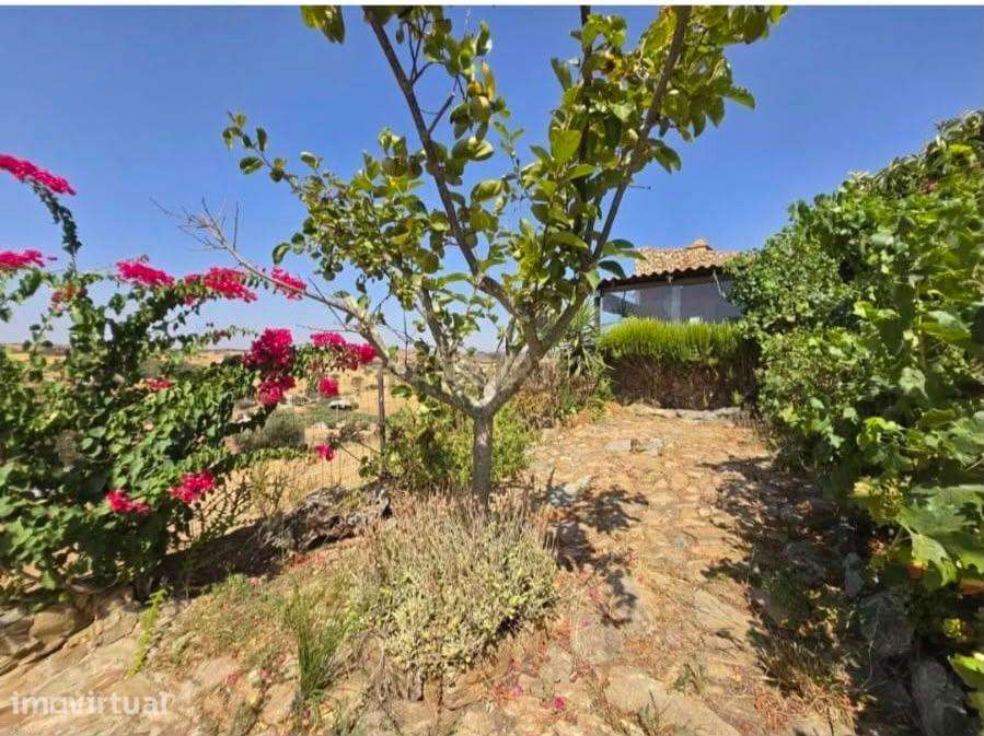 Monte em Alqueva — T1+1 com Terreno e Duas Habitações Independentes* - Grande imagem: 2/20