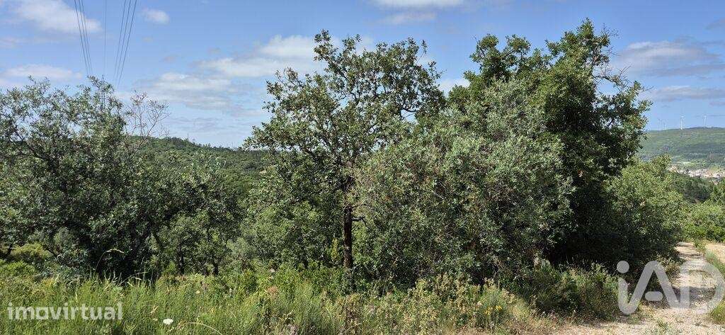 Terreno em Alqueidão da Serra - Grande imagem: 4/8