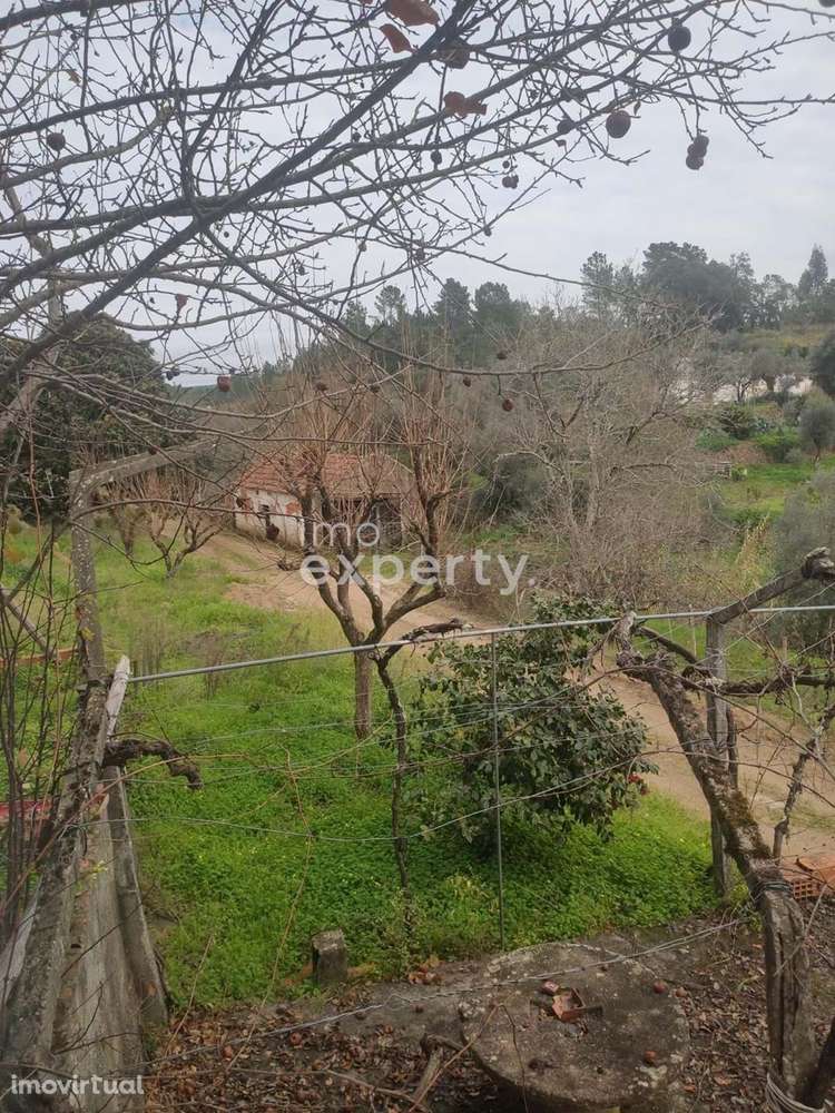 Moradia para renovar no Sardoal, Santarém - Grande imagem: 3/21