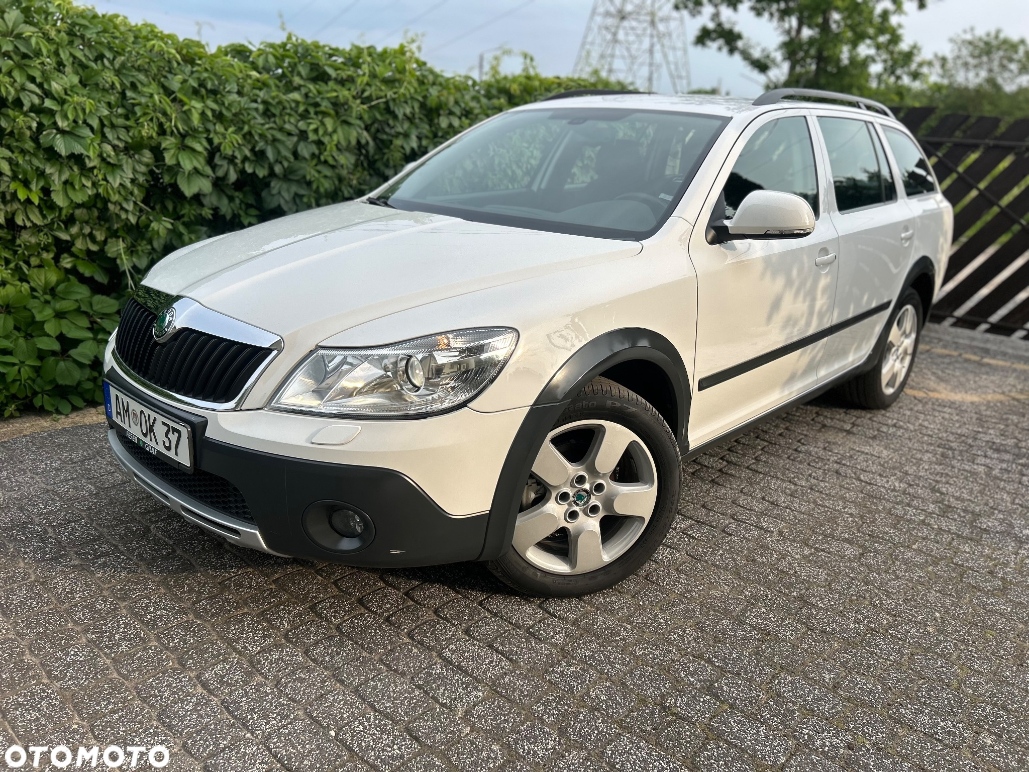 Skoda Octavia Combi 2.0 TDI DPF 4x4 Scout - 3