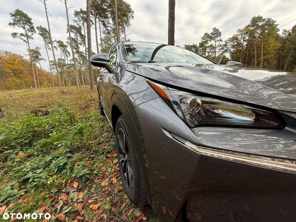 Lexus NX - 15