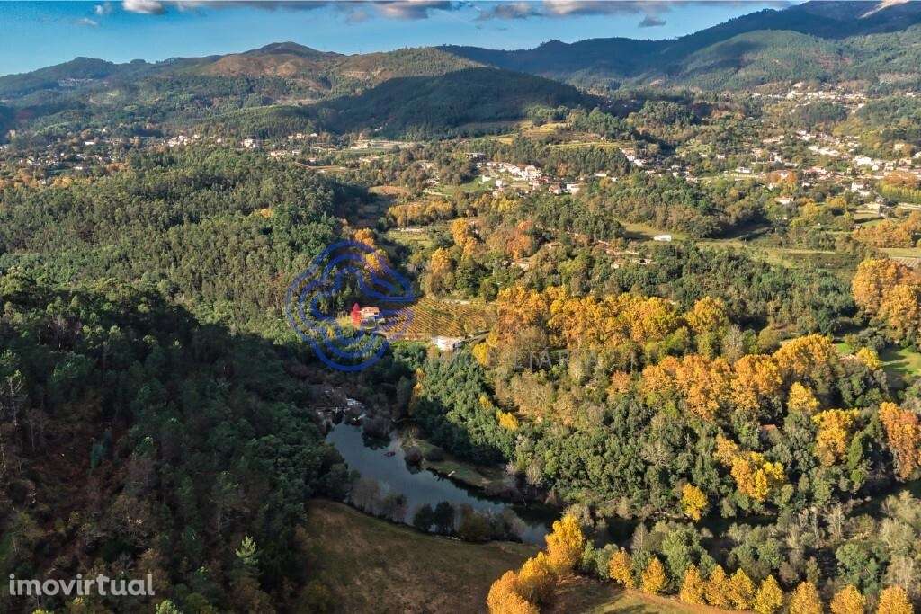 Quinta do Adigueiro – Charme, natureza e produção de vinho junto ao ri - Grande imagem: 4/60