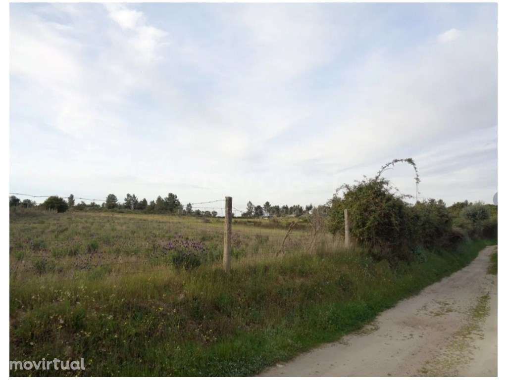 Excelente Terreno Rústico com Poço e Cultura Arvense em São Miguel ... - Grande imagem: 4/6