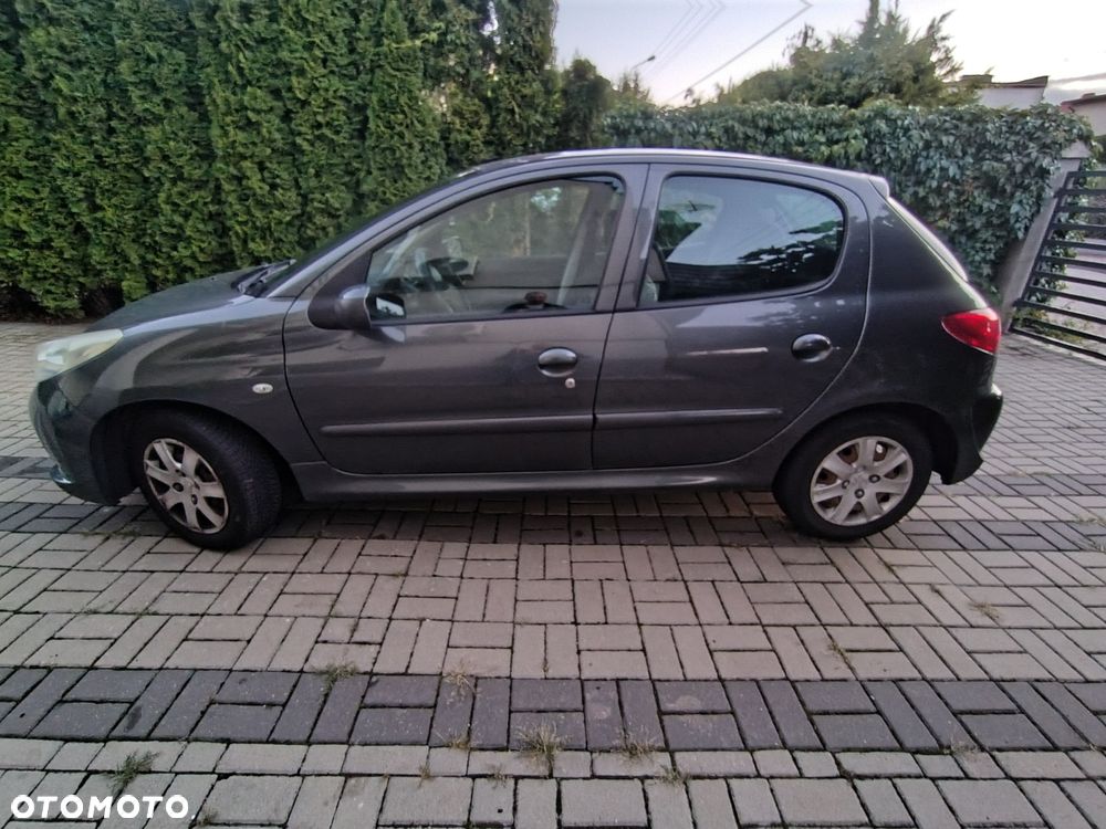 Peugeot 206 plus - 8