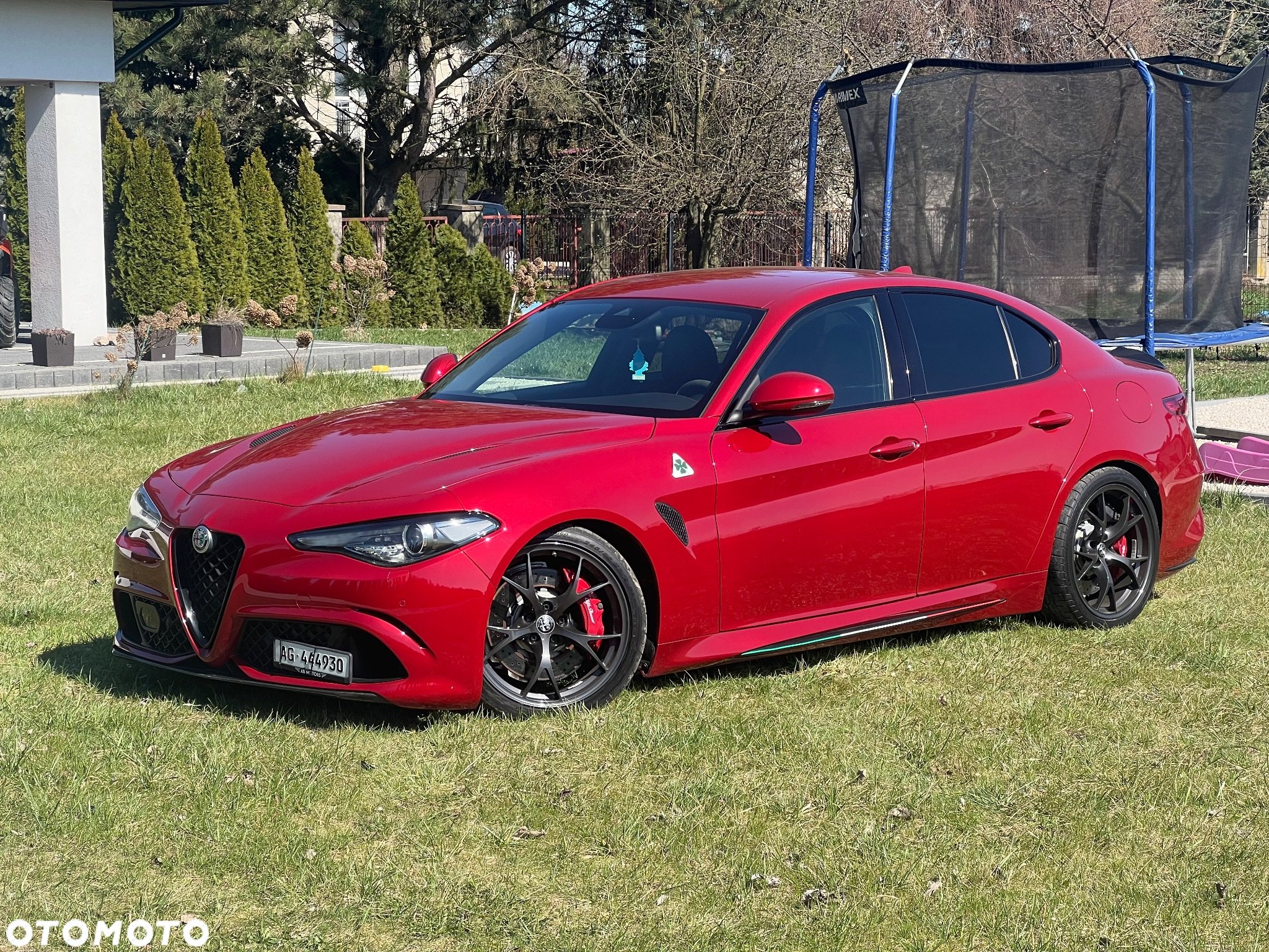 Alfa Romeo Giulia 2.9 V6 Bi-Turbo AT8 Quadrifoglio - 5
