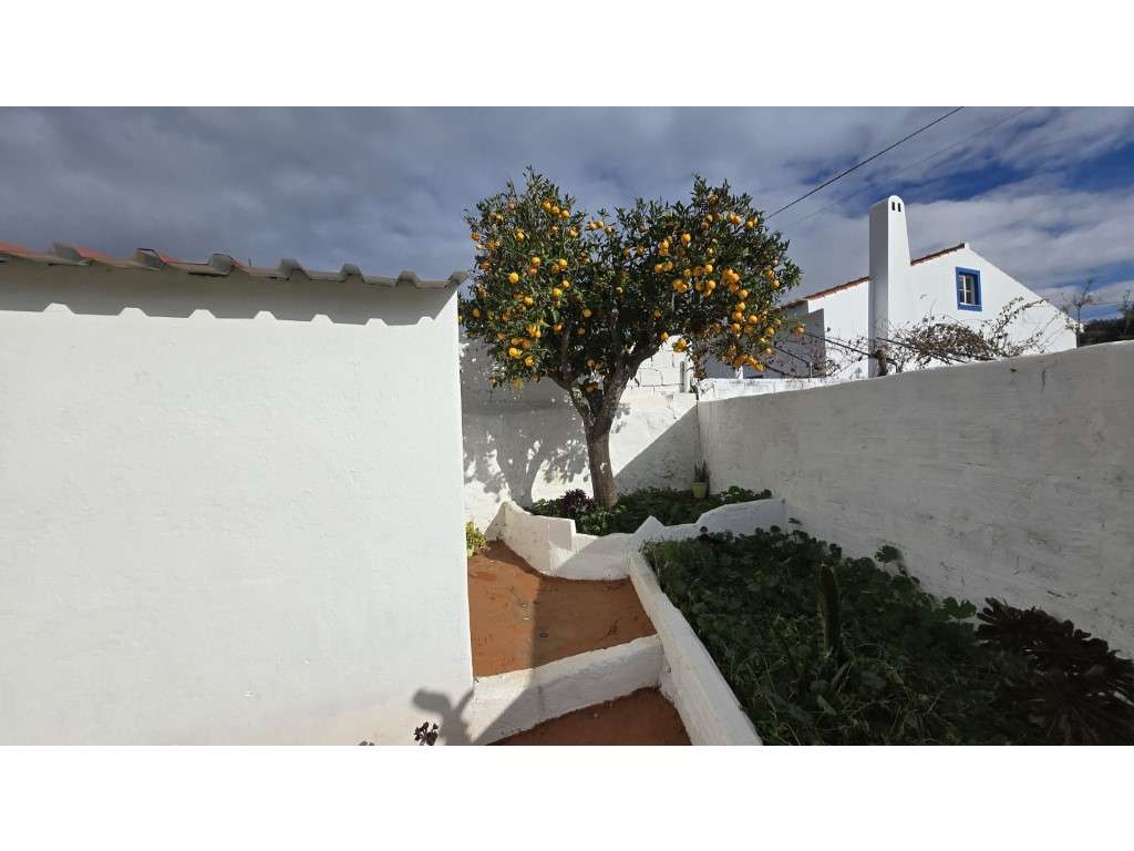 Moradia T3 com Quintal + lote Urbano - Grande imagem: 3/26