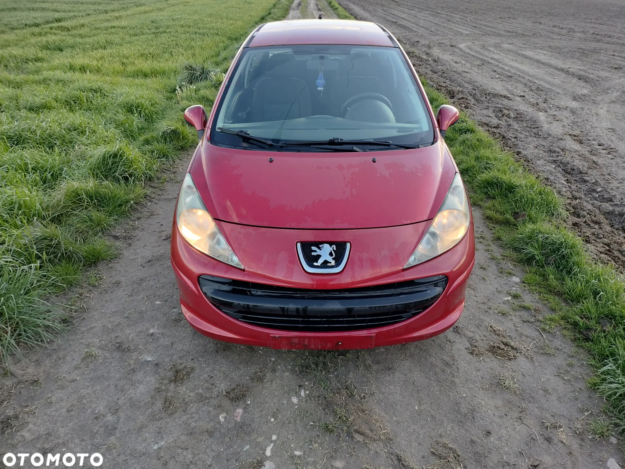 peugeot 207 kod farby EKQD - 4