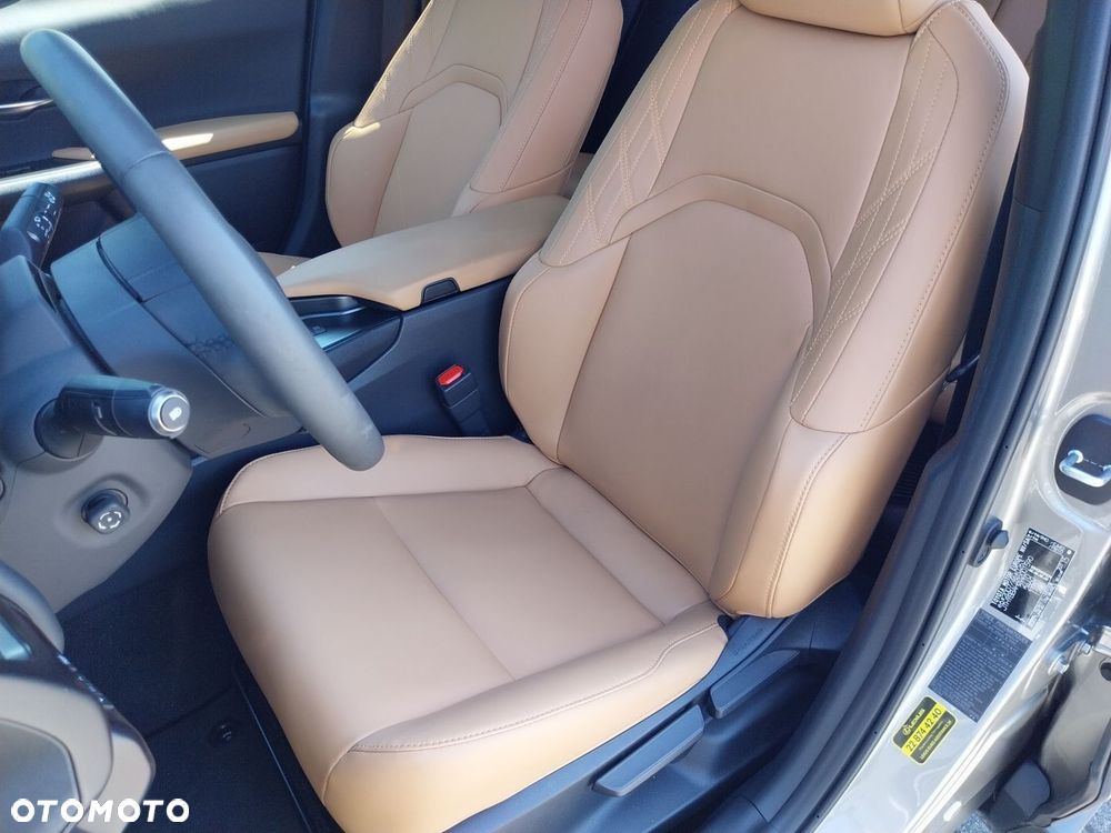Lexus UX 300h F Sport Design - 17