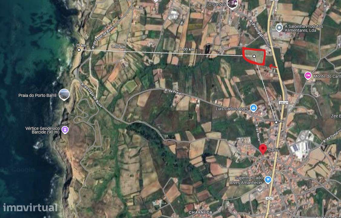 Oportunidade Única – Venda de Três Terrenos Rústicos no Brejo, Encarna - Grande imagem: 3/4