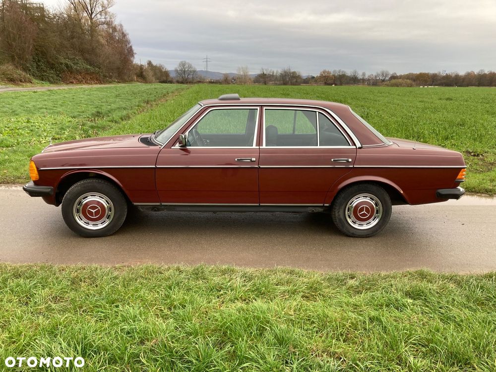 Mercedes-Benz W123 - 4
