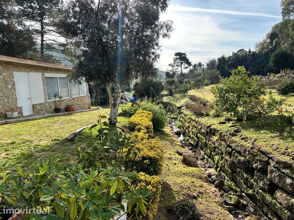 Quinta - Quintinha - Moradia - Grande imagem: 4/18