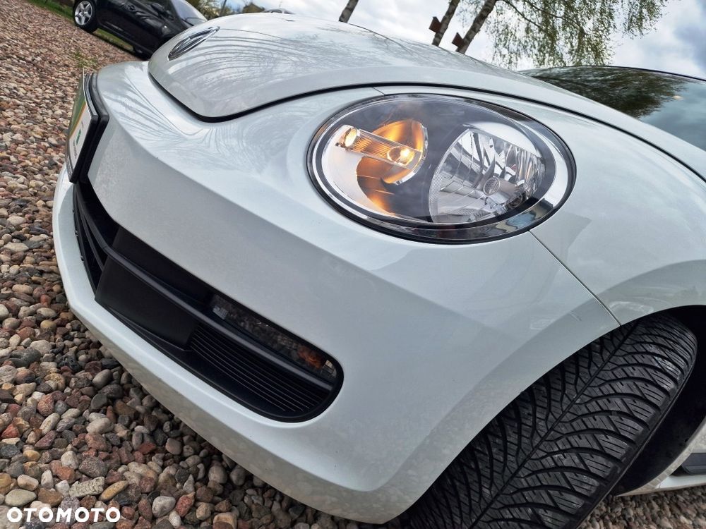 Volkswagen Beetle - 21