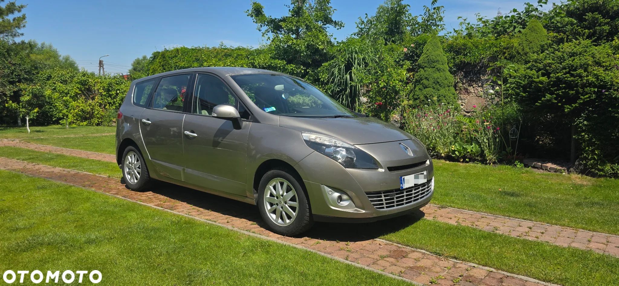 Renault Scenic 1.9 dCi Alize Plus - 1