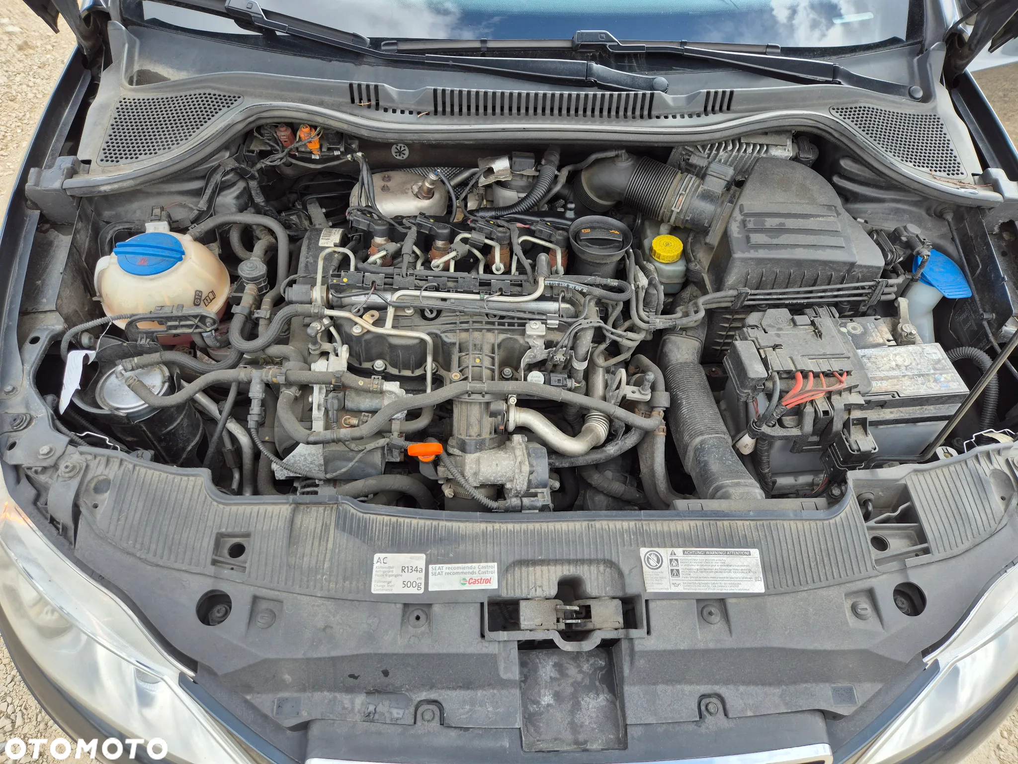 Seat Ibiza 1.6 TDI Style - 12