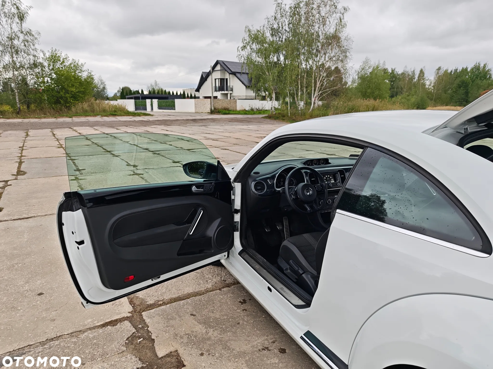 Volkswagen Beetle - 20