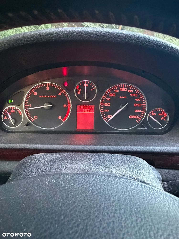 Peugeot 407 - 14