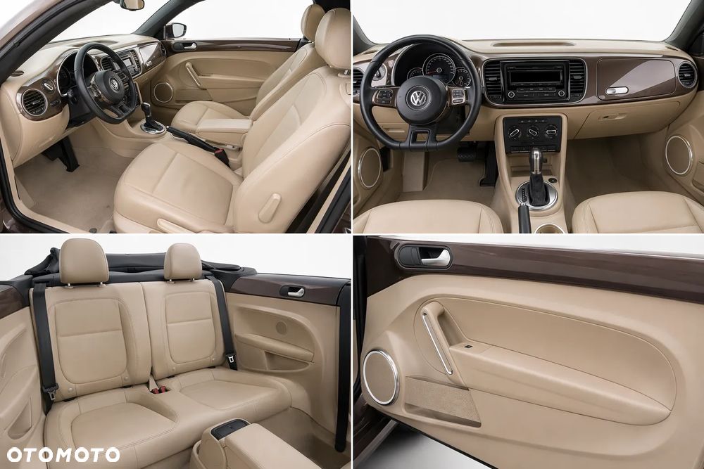 Volkswagen Beetle - 11