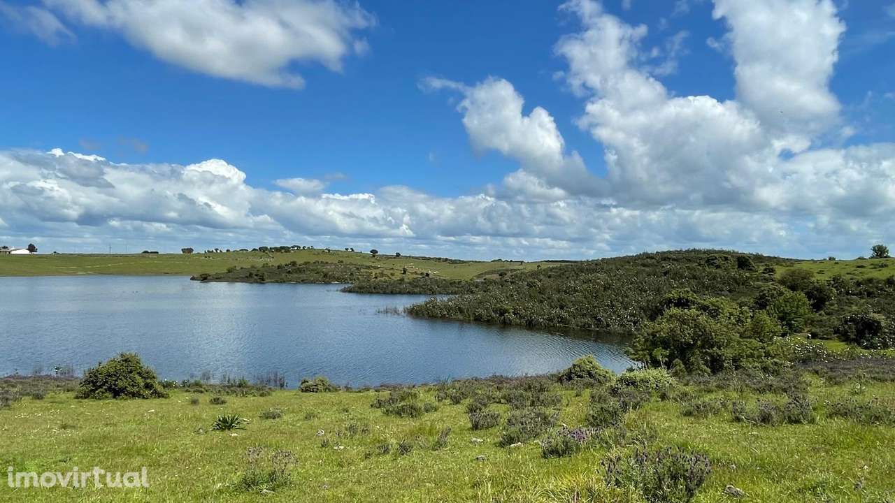 Terreno na Margem Alqueva - Grande imagem: 4/26