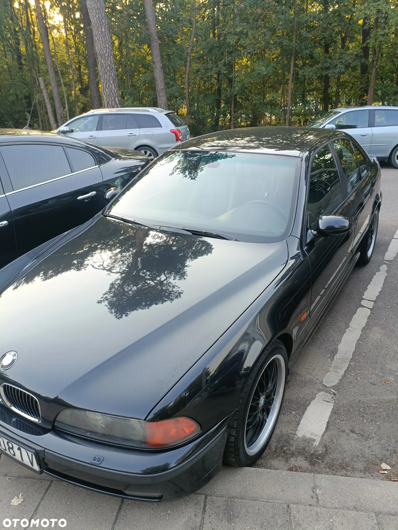 BMW Seria 5 - 9