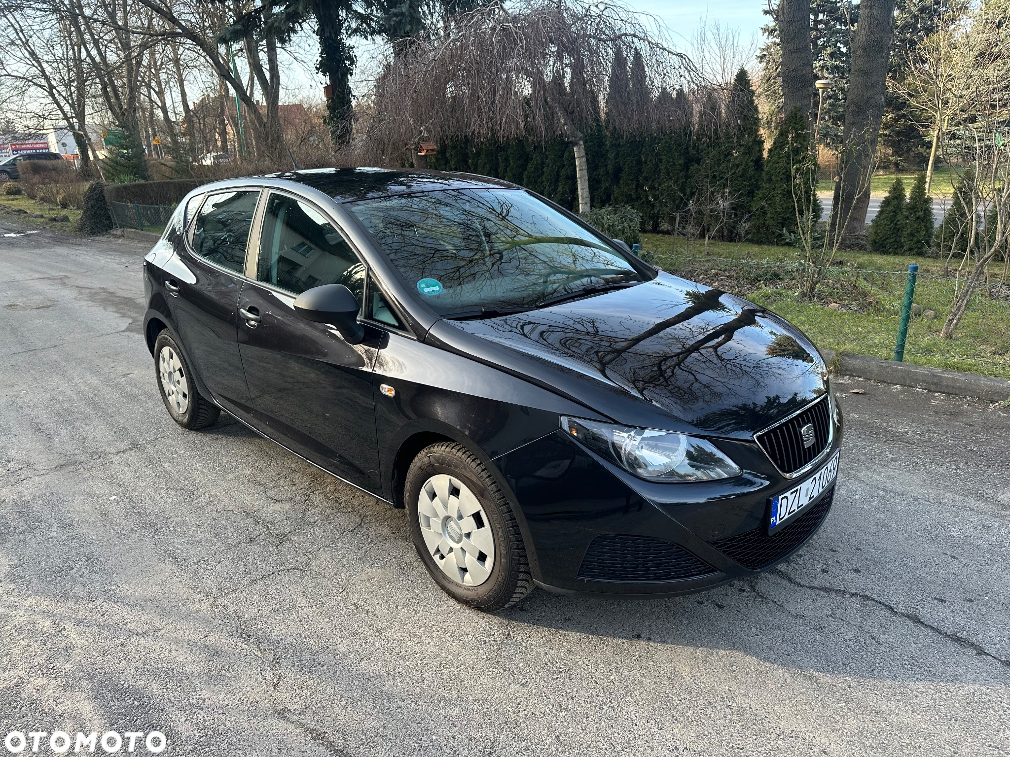 Seat Ibiza - 16