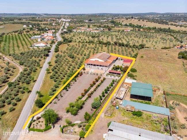 Quinta em Elvas - Oportunidade - Grande imagem: 2/31