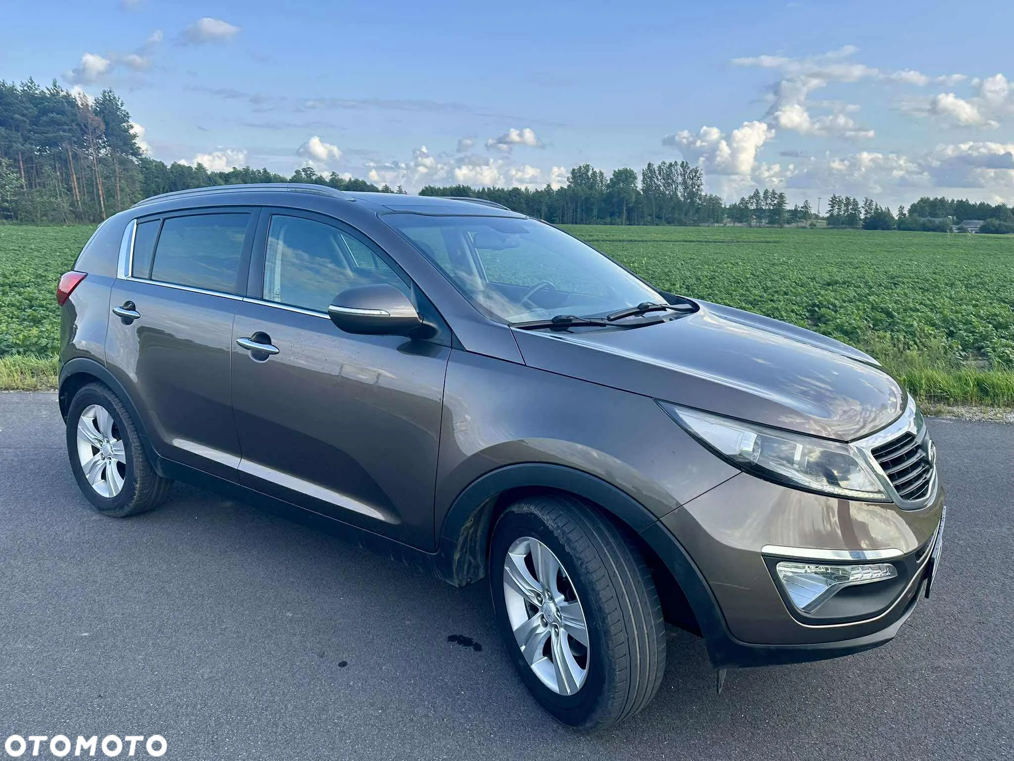 Kia Sportage - 8