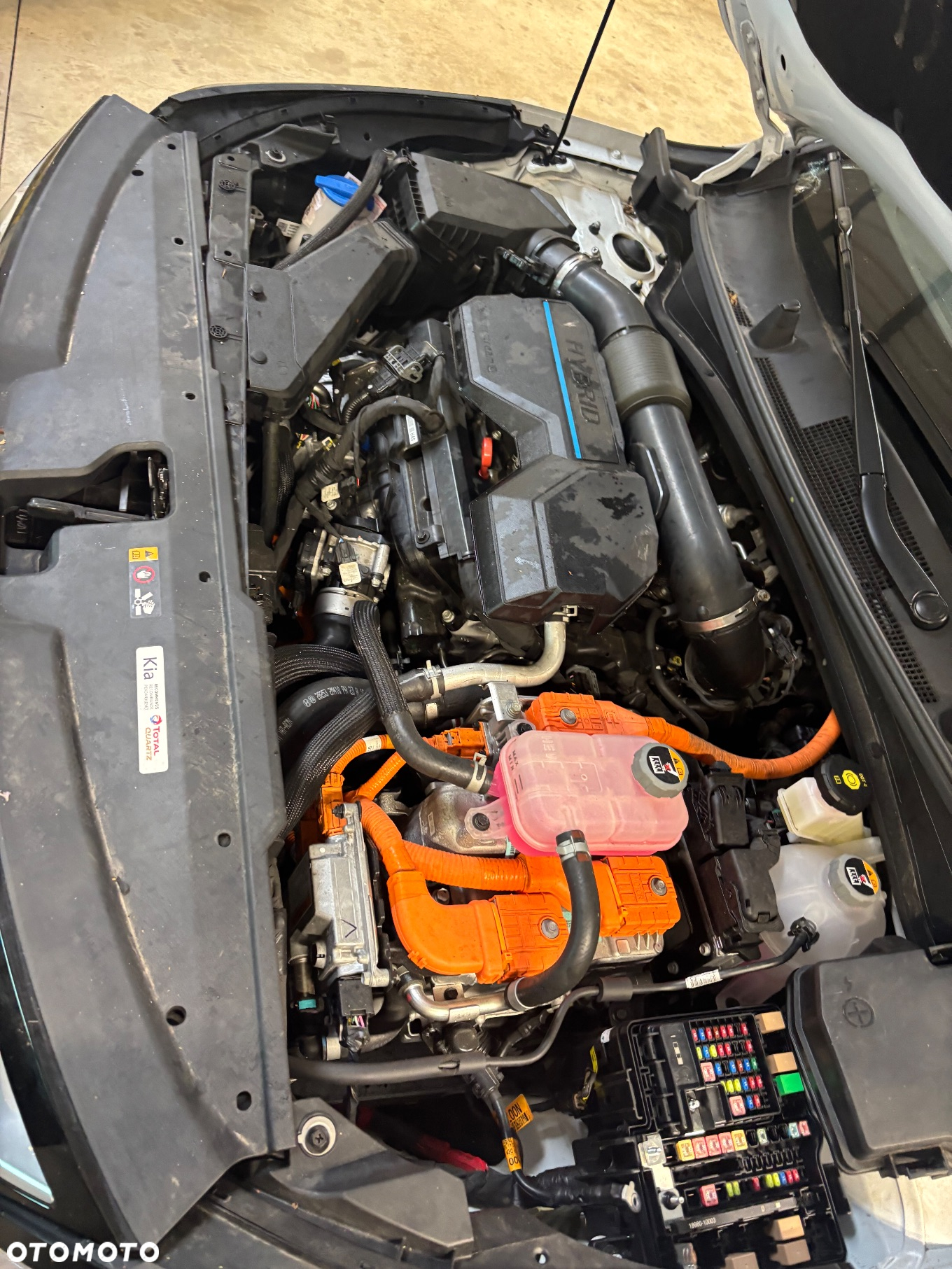 Kia Sportage - 8