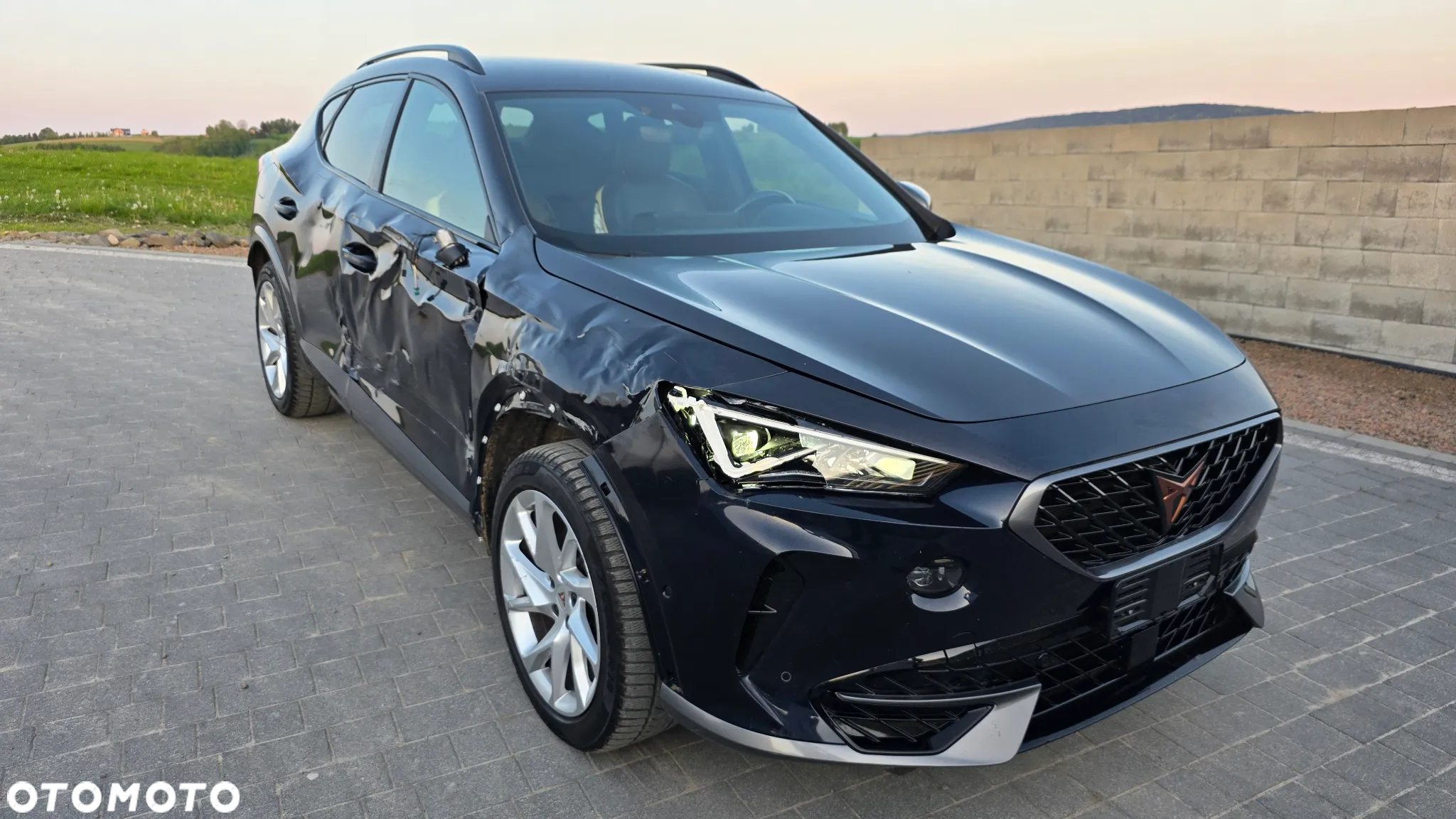 Cupra Formentor 2.0 TDI - 3
