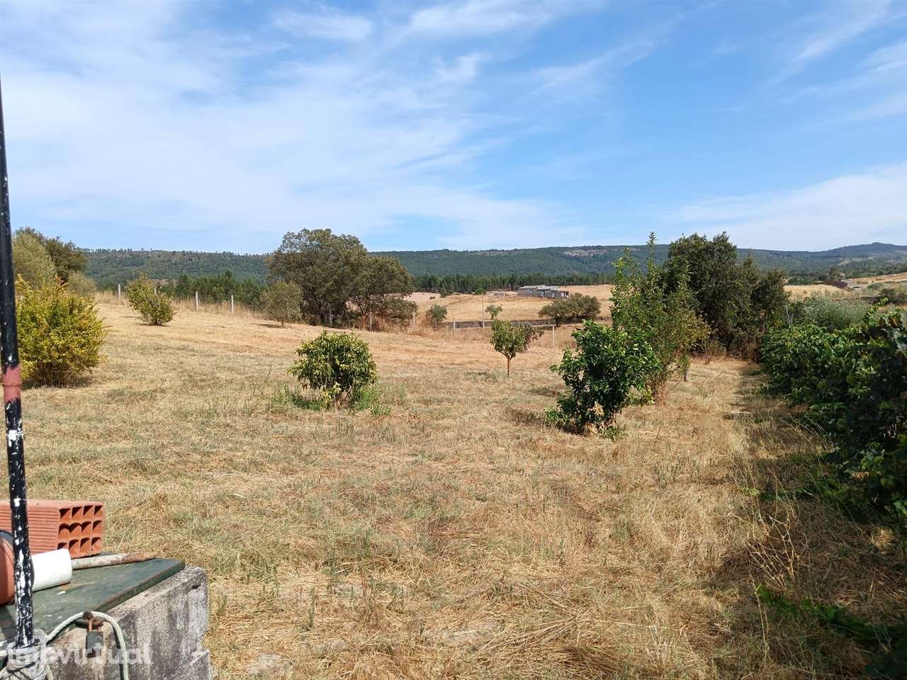 Quinta - Grande imagem: 3/12