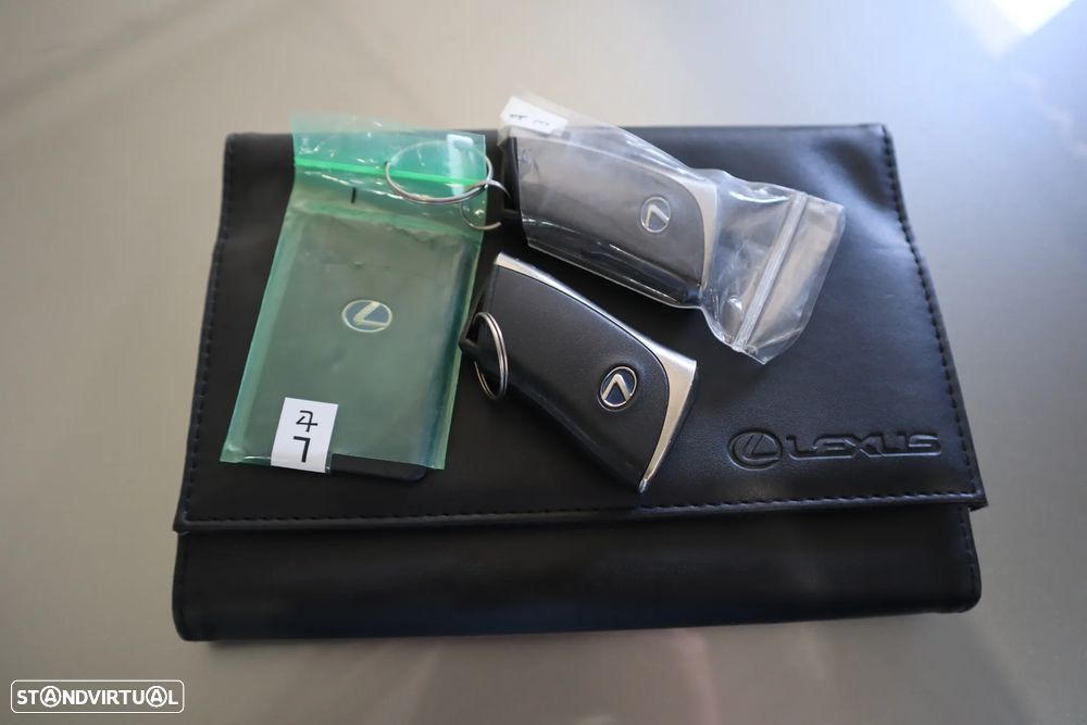 Lexus UX 300e Luxury - 47