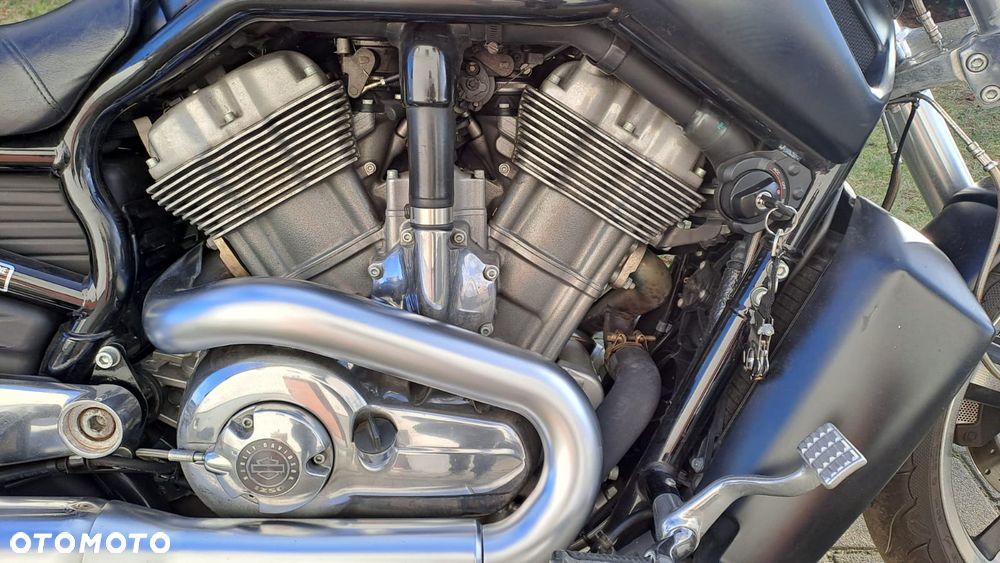 Harley-Davidson V-Rod Muscle - 3