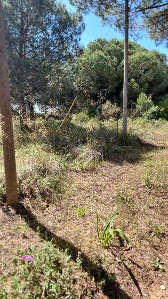 Terreno com 315avos - Grande imagem: 2/4