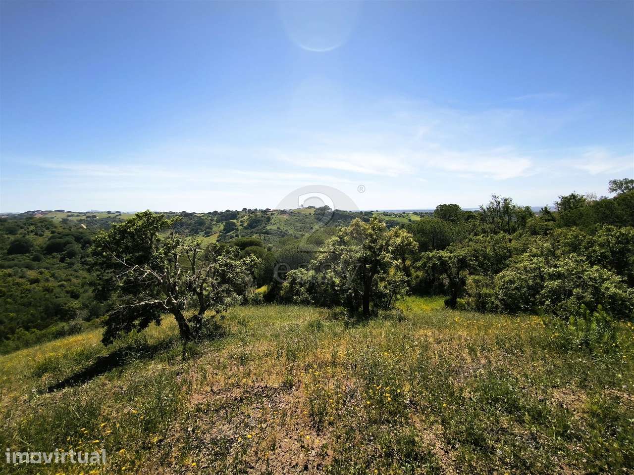 Terreno Rústico com 11,95ha com viabilidade de construção no Litoral A - Grande imagem: 2/14
