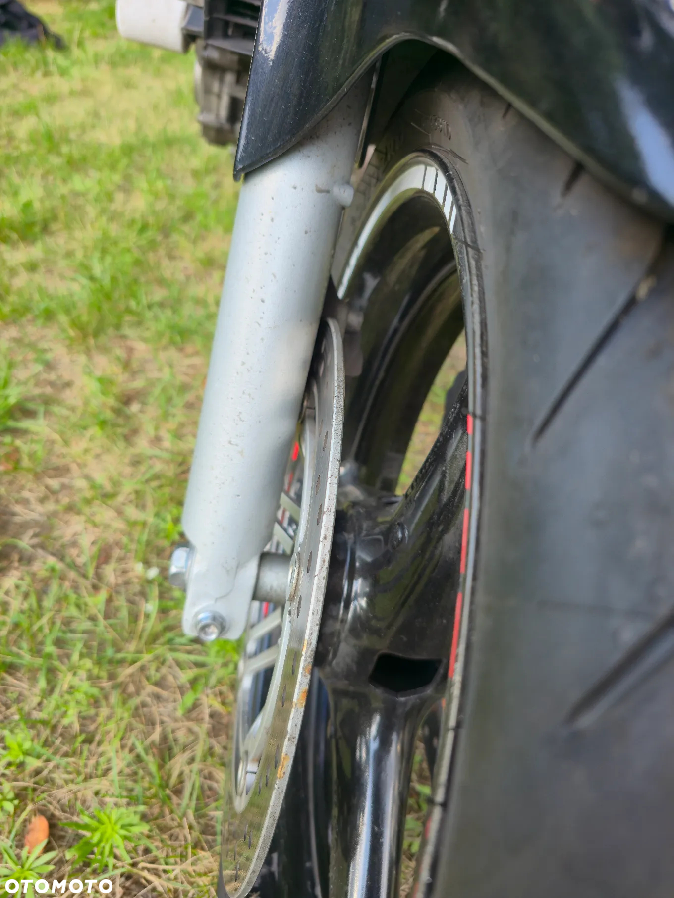 Honda Hornet - 11