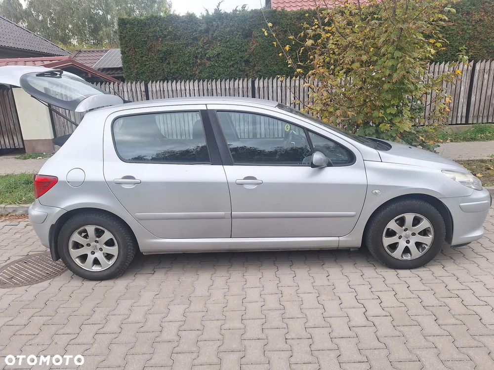 Peugeot 307 - 4