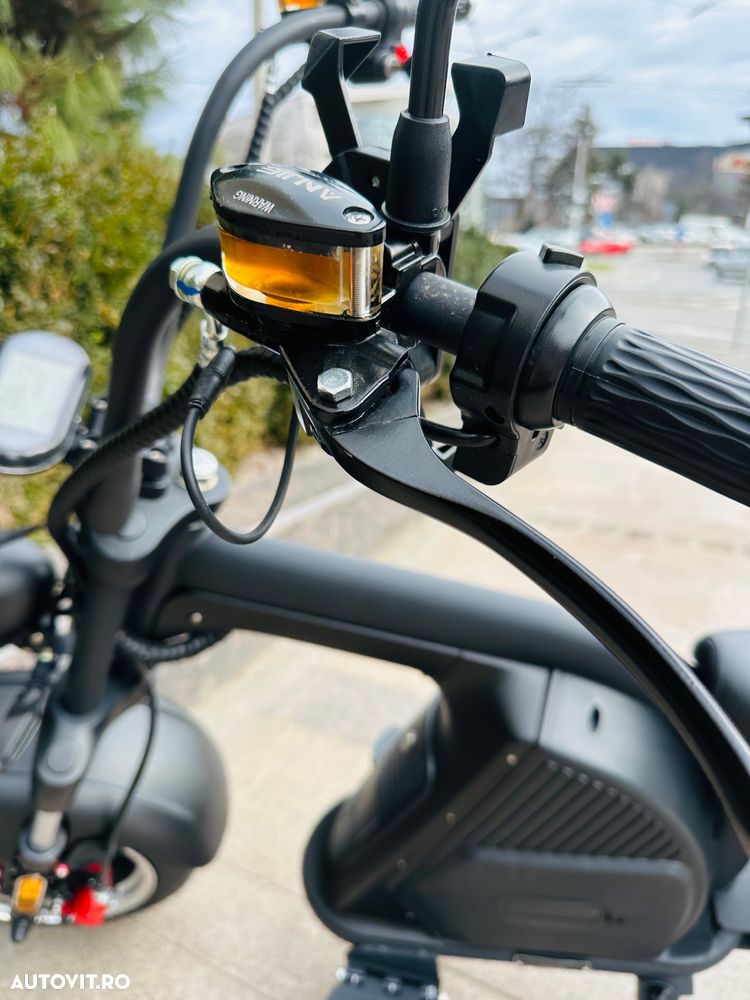 Harley-Davidson Altul - 11