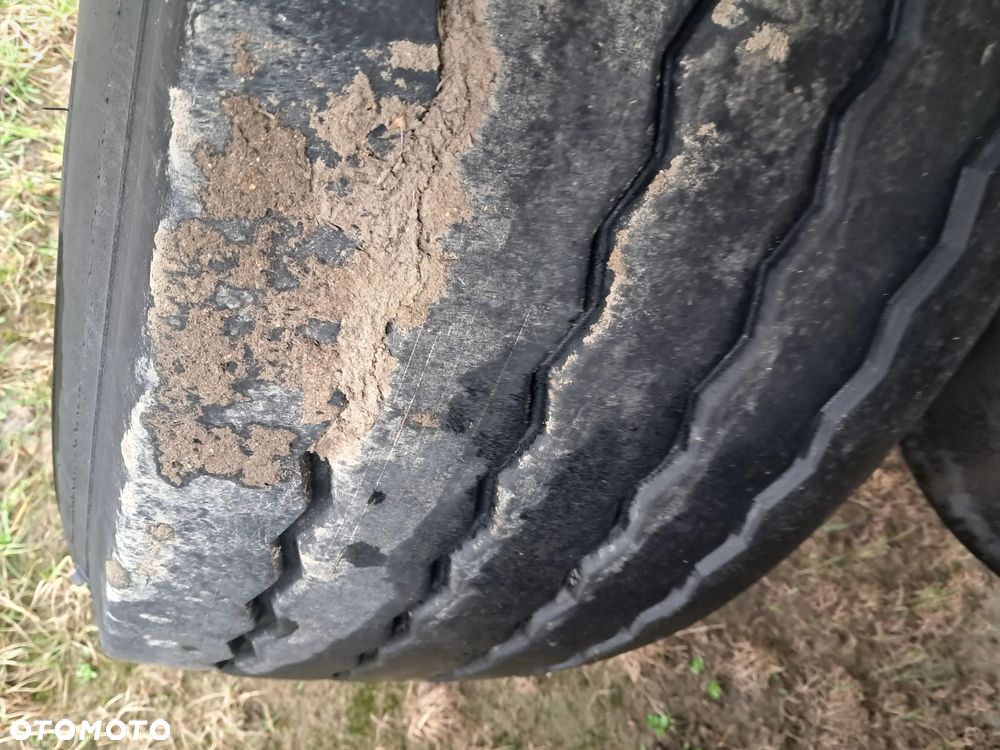 Schmitz Cargobull Chłodnia - 7