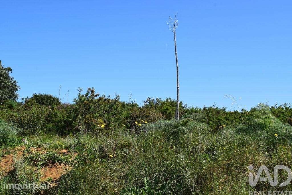 Terreno Agrícola em Carnota - Grande imagem: 2/34