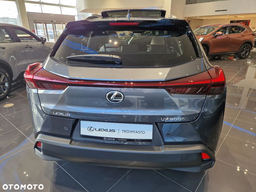 Lexus UX 300h Prestige - 5