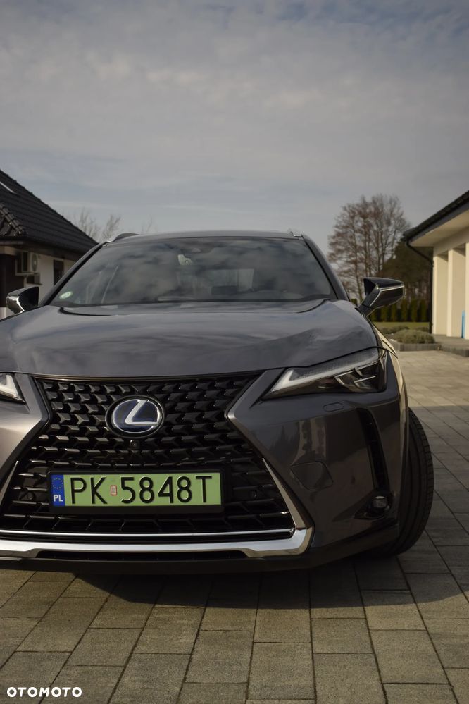 Lexus UX 300e 54.3 kWh Prestige 2WD - 2