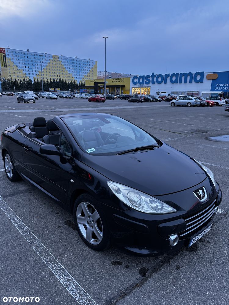 Peugeot 307 CC - 15