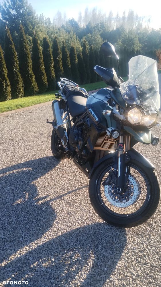 Triumph Tiger - 7