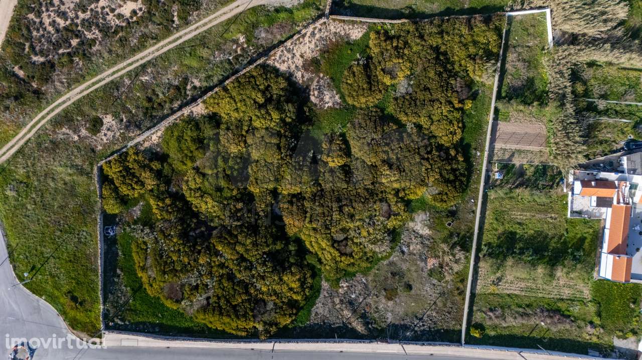 Terreno 6.000m2 com vista mar em Peniche - Grande imagem: 5/17