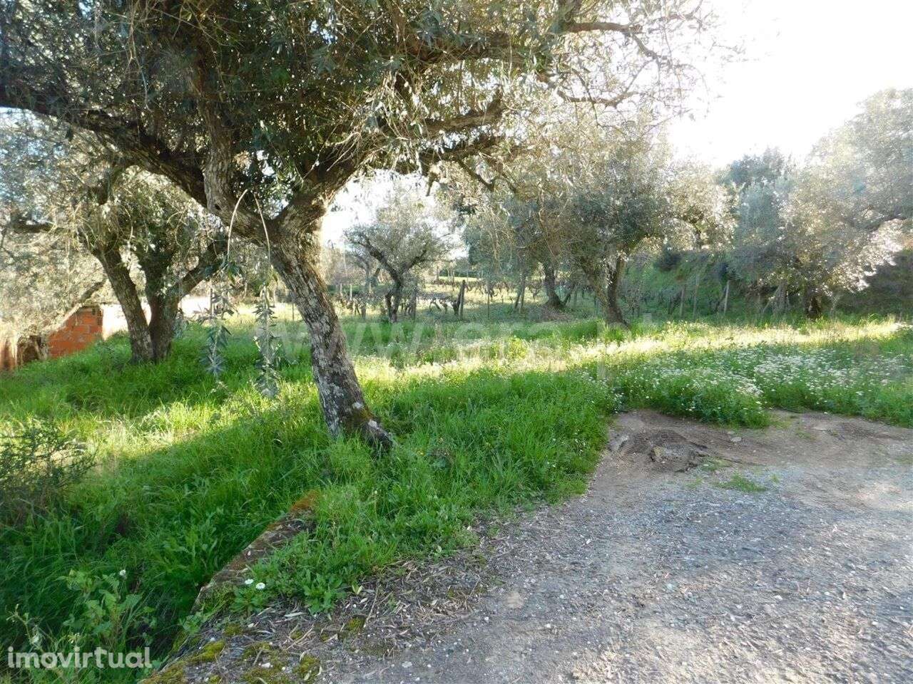 Terreno / Fundão, Telhado - Grande imagem: 4/4