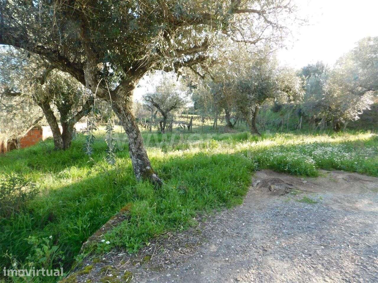 Terreno / Fundão, Telhado - Grande imagem: 4/4
