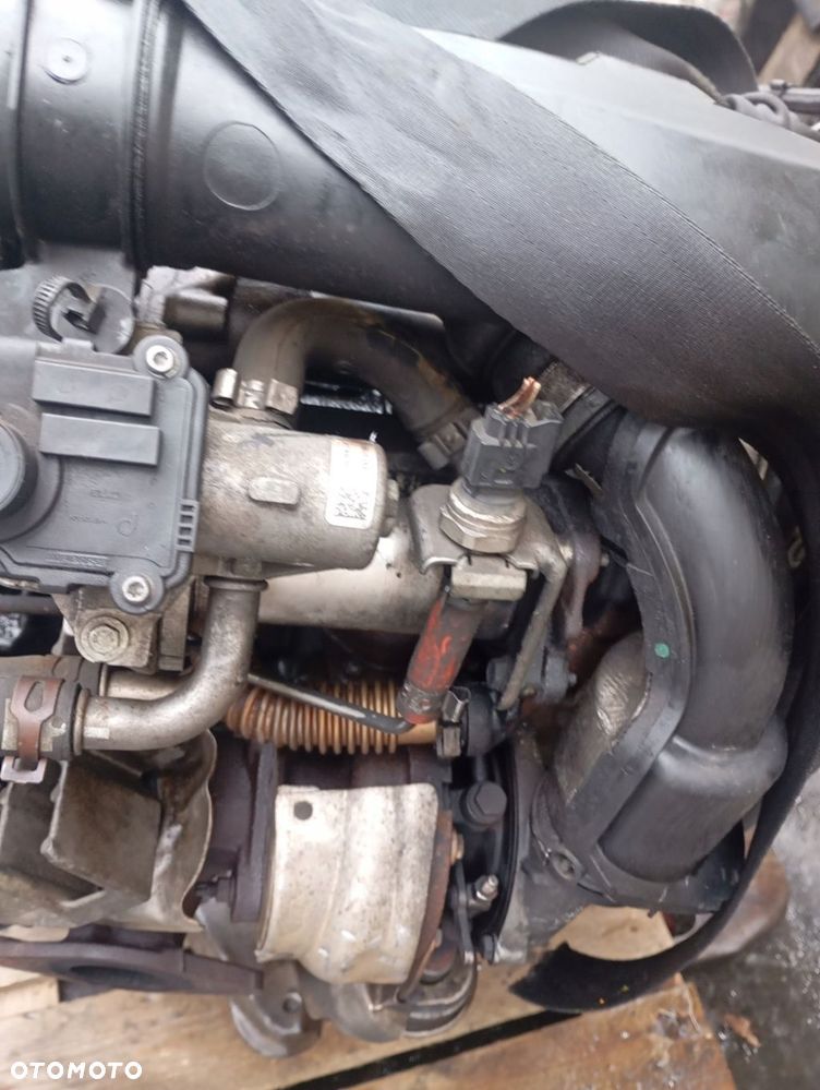 renault kangoo ii 1.5 dci 109km silnik k8k816 kompletny - 5