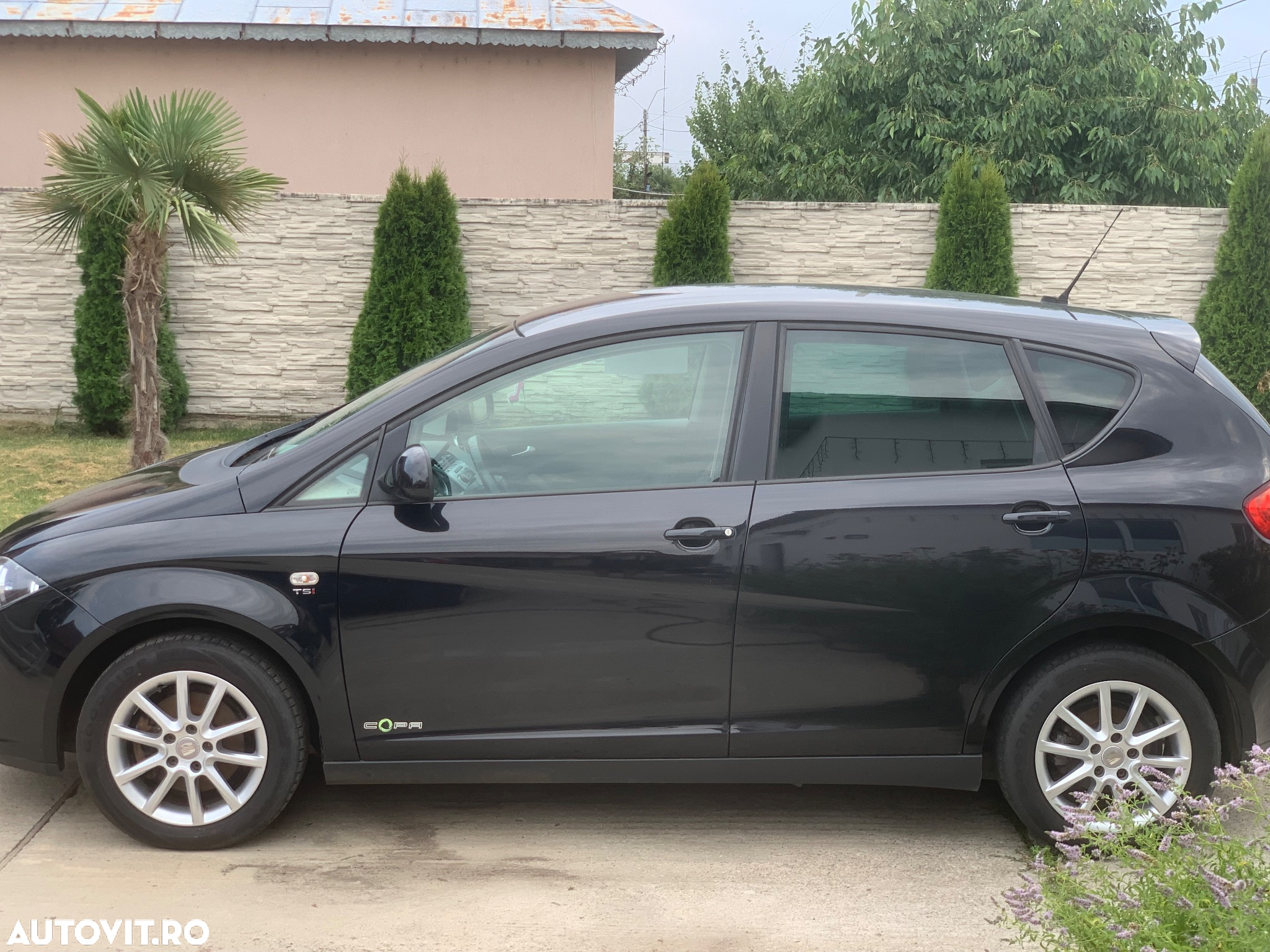 Seat Altea - 8