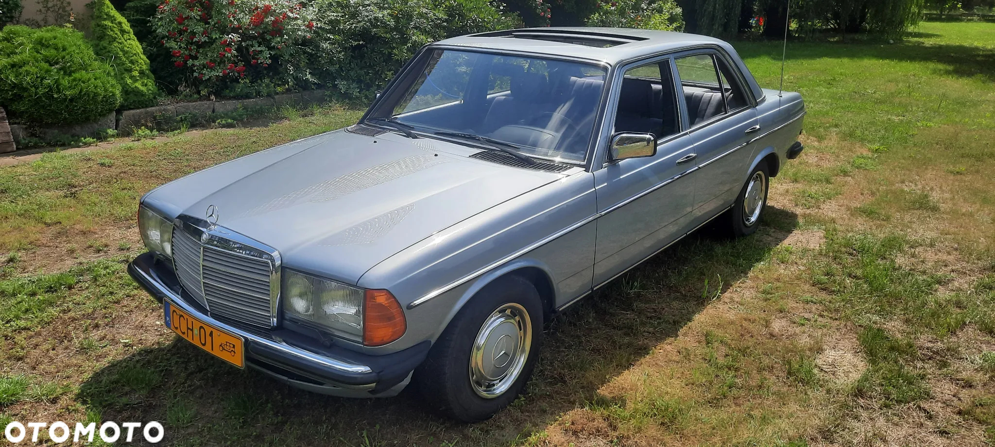 Mercedes-Benz W123 - 2