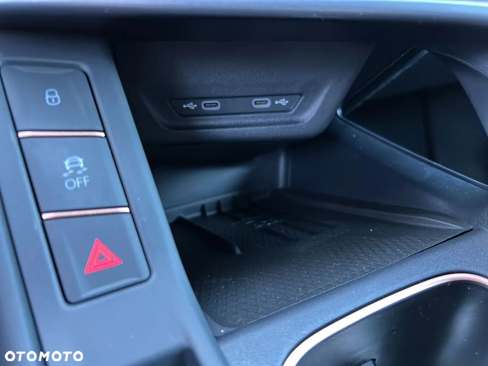Cupra Terramar - 20