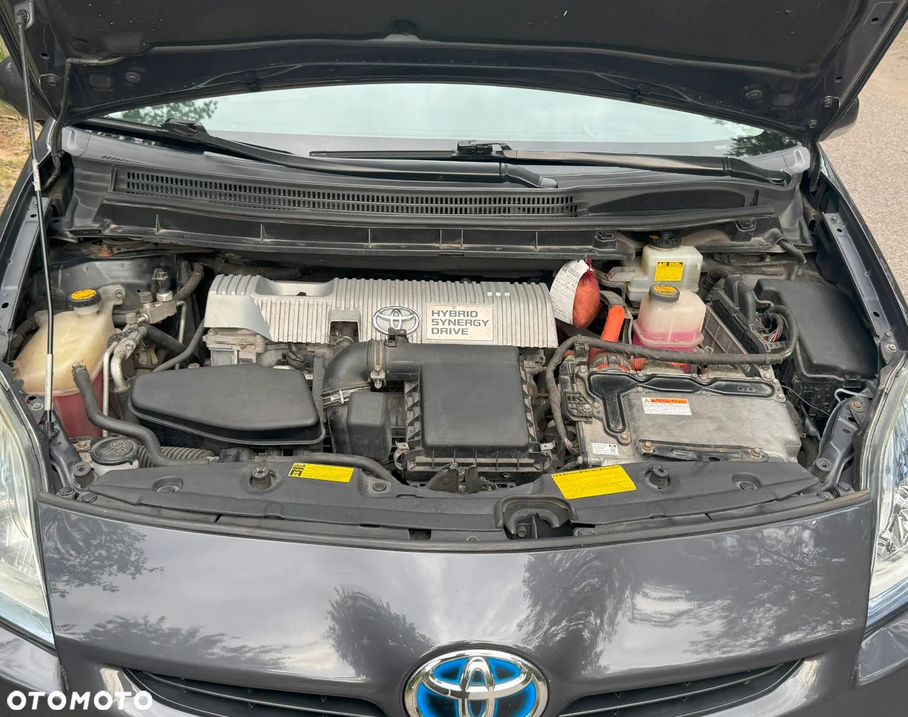 Toyota Prius (Hybrid) - 7